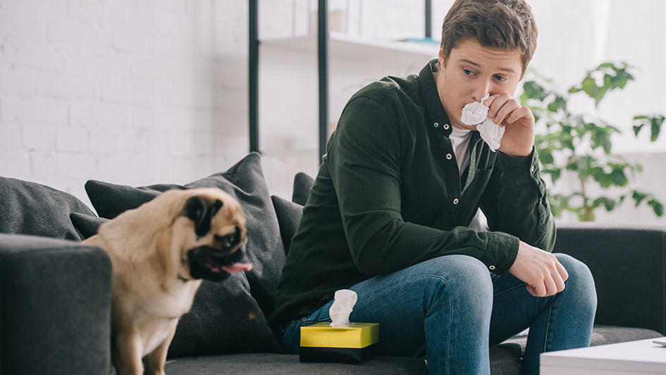 Installing an air purifier is one of the wisest approaches to enhance your home’s indoor air quality. Find out more about the three top options. 